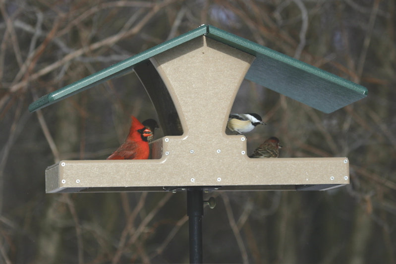 Ever Seen A Double Decker Hopper Bird Feeder Unique Birdhouse Boutique