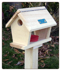 small wooden mealworm feeder