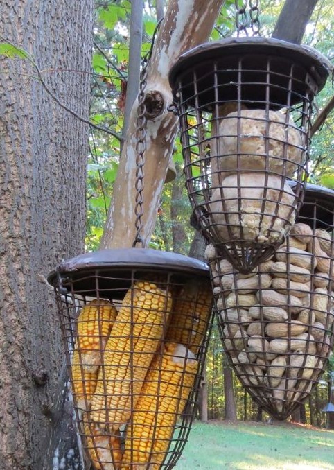 Whole Peanut Bird Feeder Basket Set